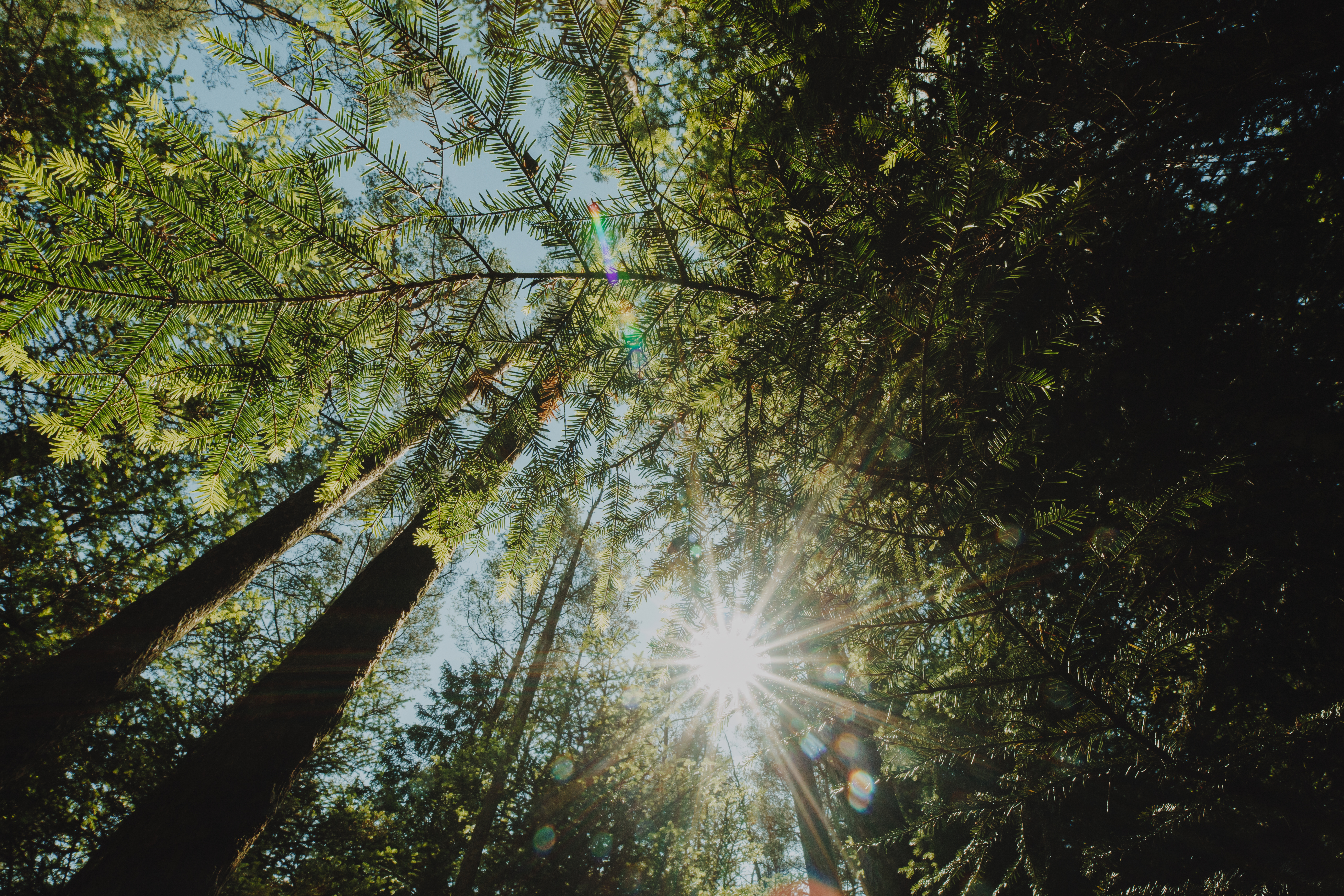 EIM als mitjans 5 cultura de paz”